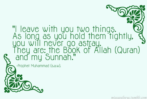 hold to quran and sunnah