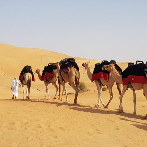 Camel_Trekking-1-large